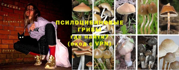 MDMA Горняк