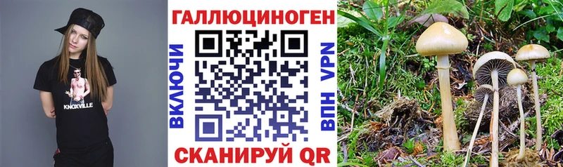 Псилоцибиновые грибы MAGIC MUSHROOMS  Курган 